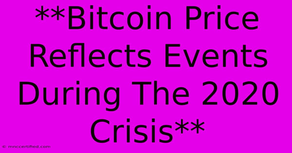 **Bitcoin Price Reflects Events During The 2020 Crisis**