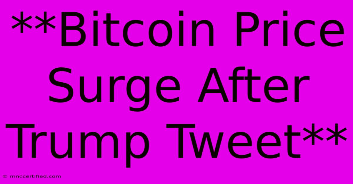 **Bitcoin Price Surge After Trump Tweet**