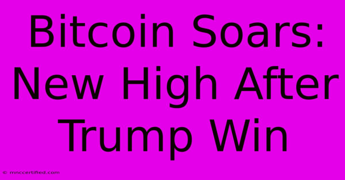 Bitcoin Soars: New High After Trump Win