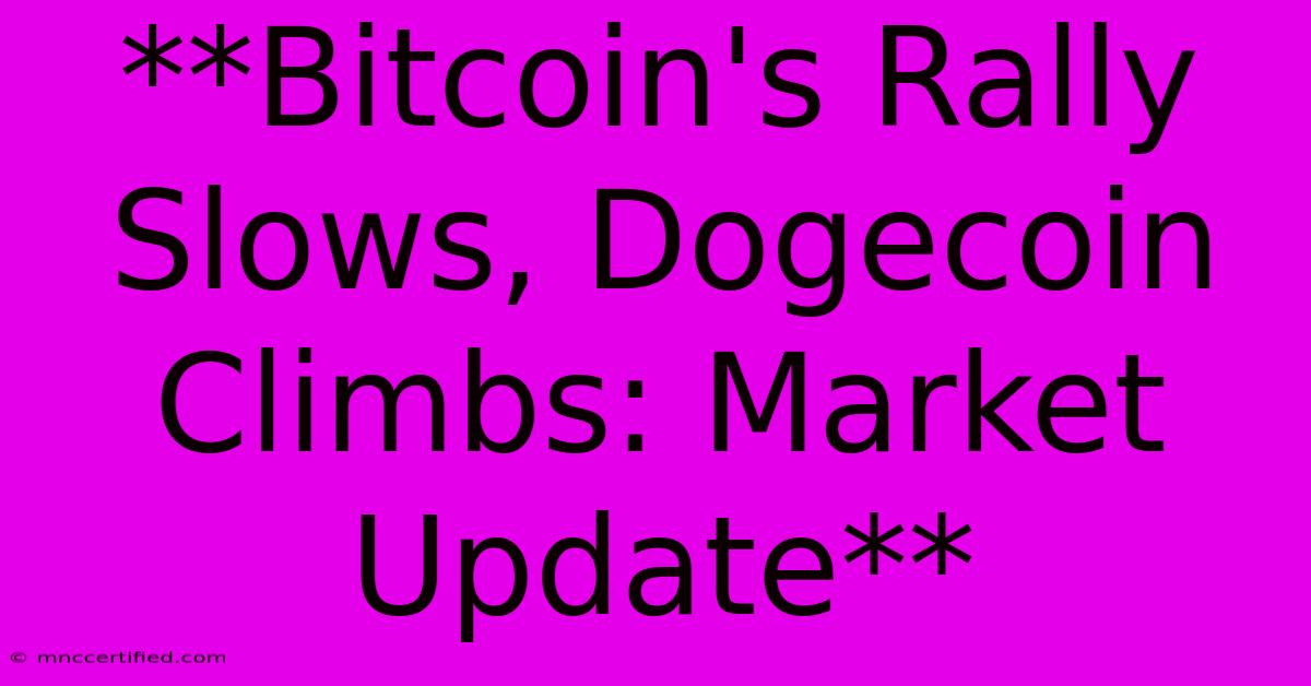 **Bitcoin's Rally Slows, Dogecoin Climbs: Market Update**