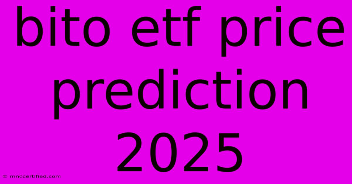 Bito Etf Price Prediction 2025