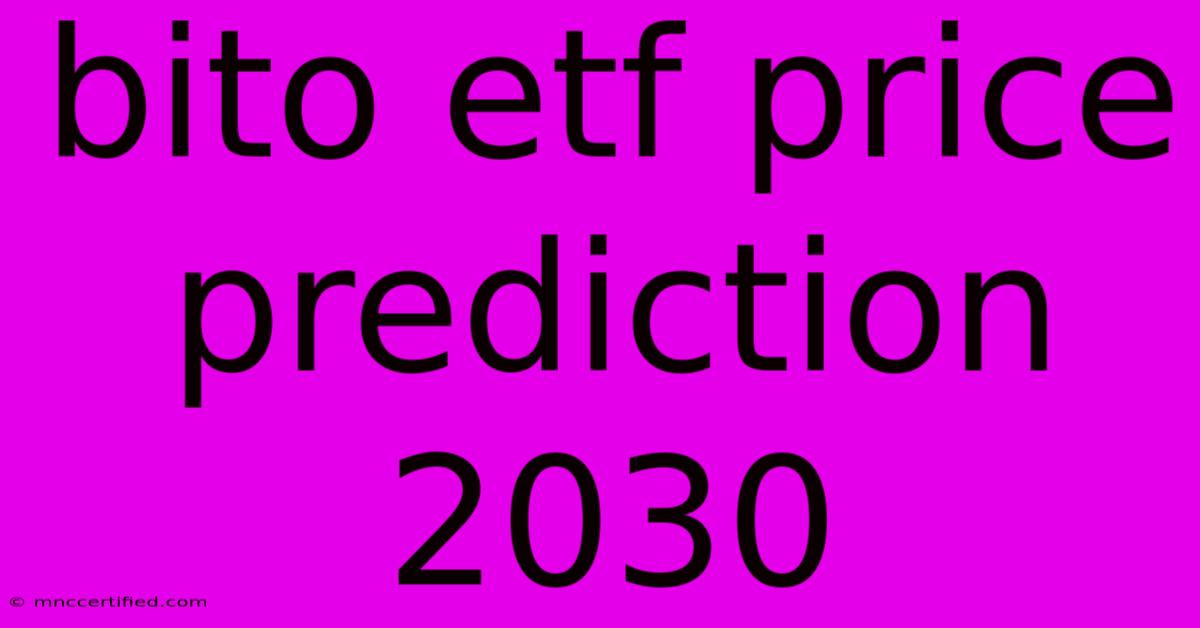 Bito Etf Price Prediction 2030