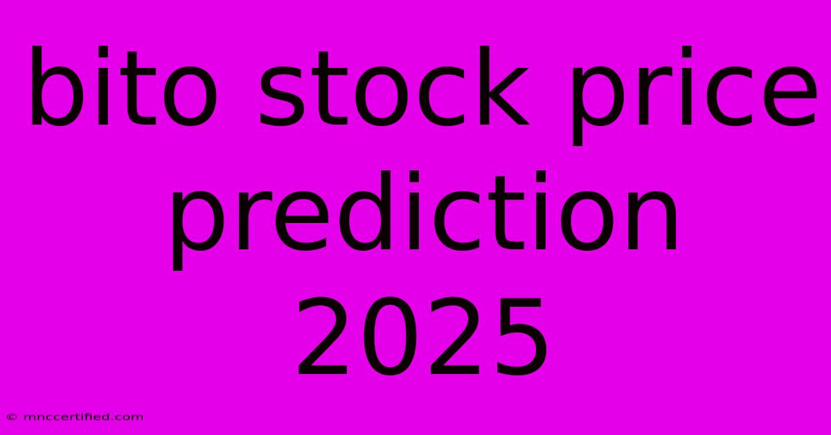 Bito Stock Price Prediction 2025