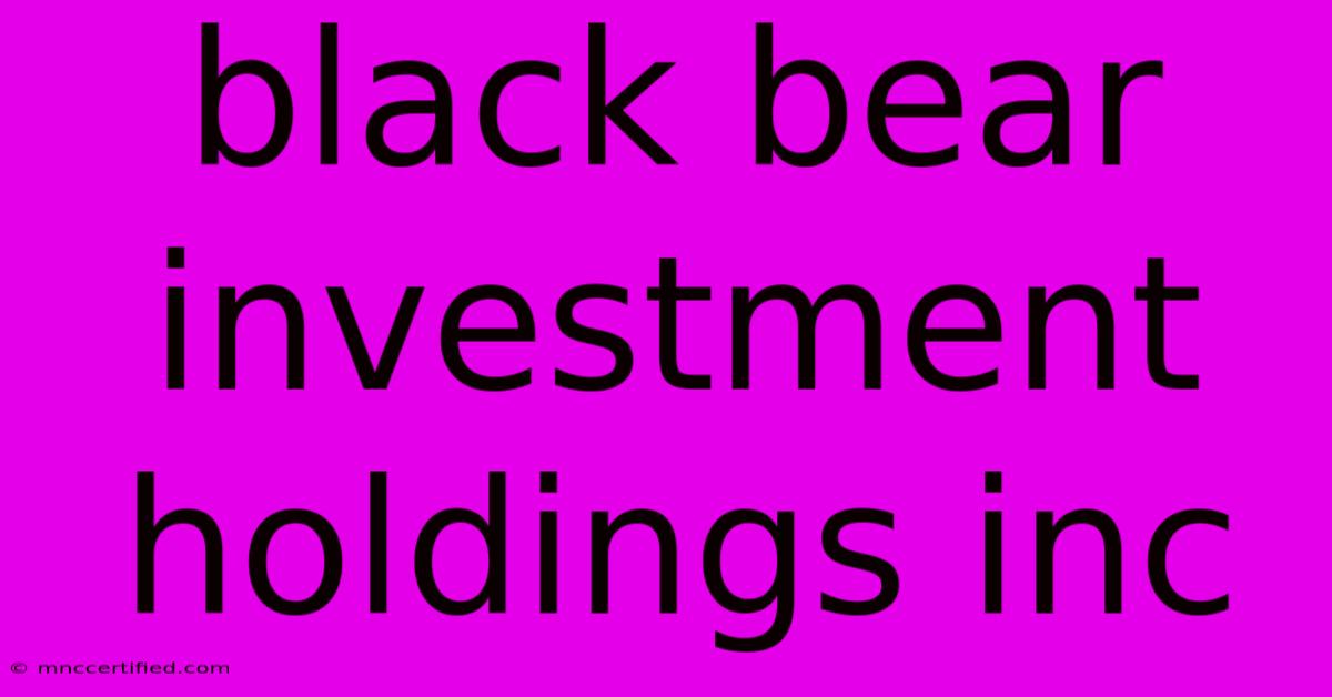 Black Bear Investment Holdings Inc