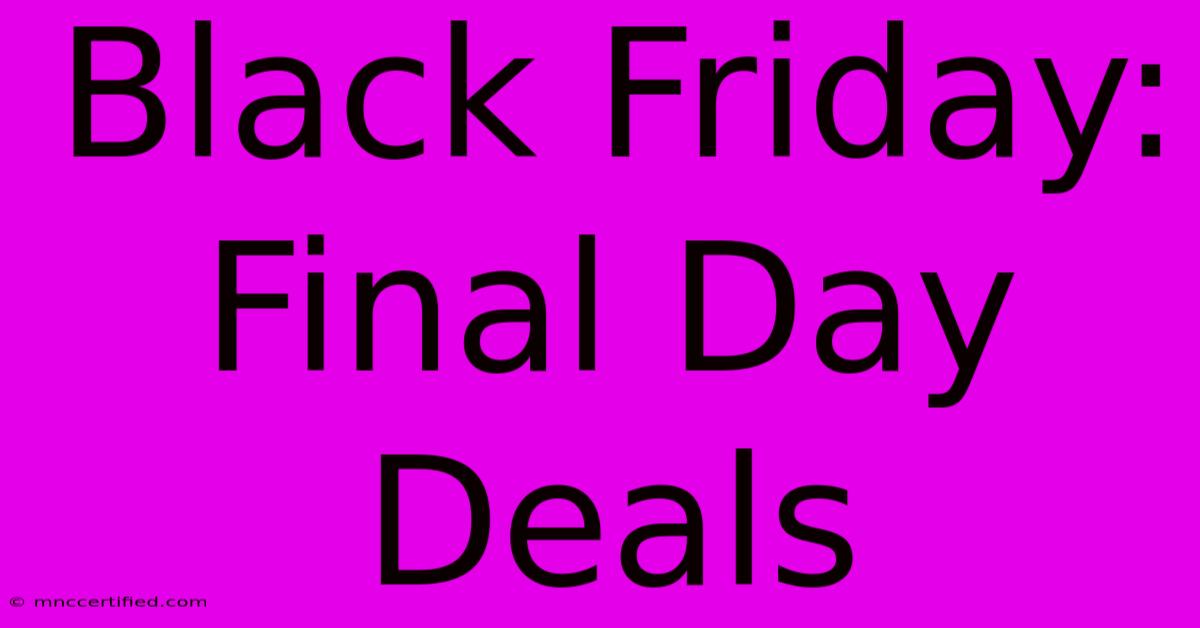 Black Friday: Final Day Deals