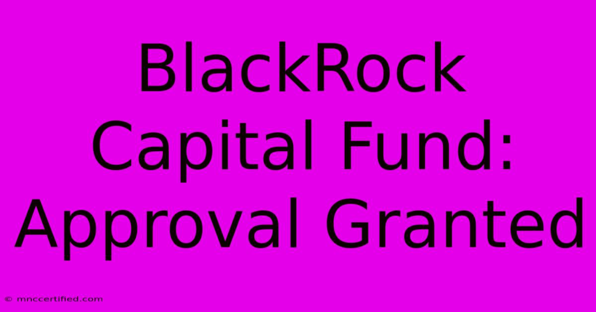 BlackRock Capital Fund: Approval Granted