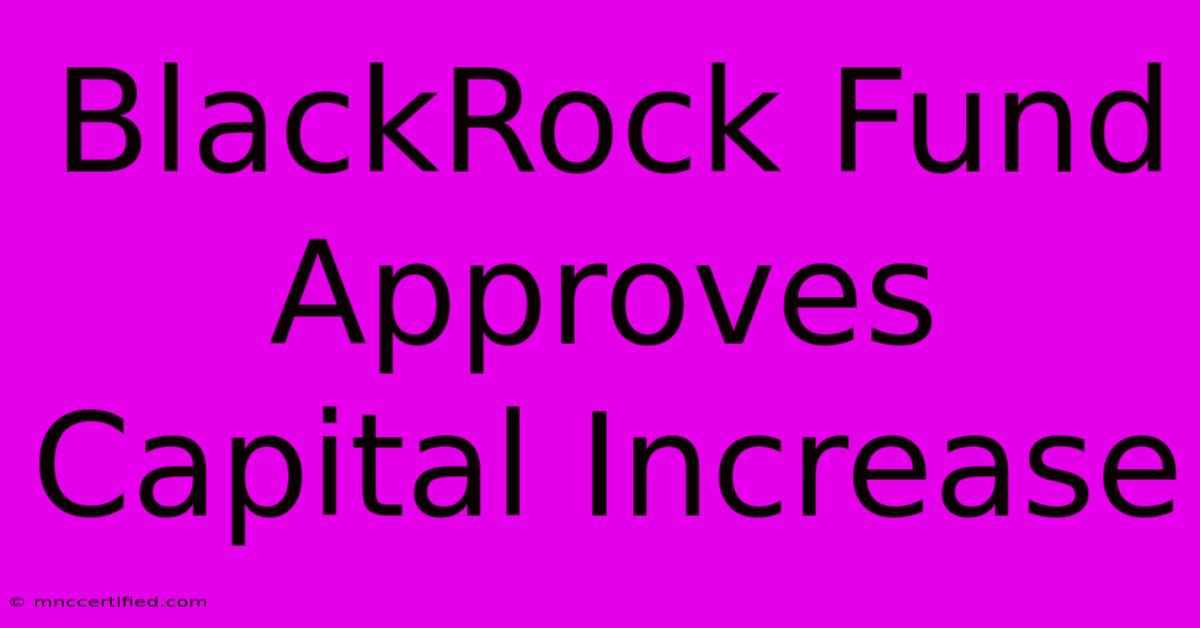 BlackRock Fund Approves Capital Increase