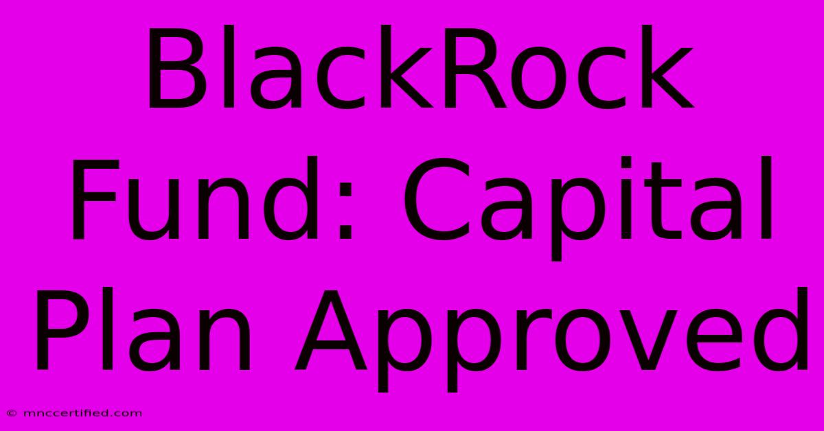 BlackRock Fund: Capital Plan Approved