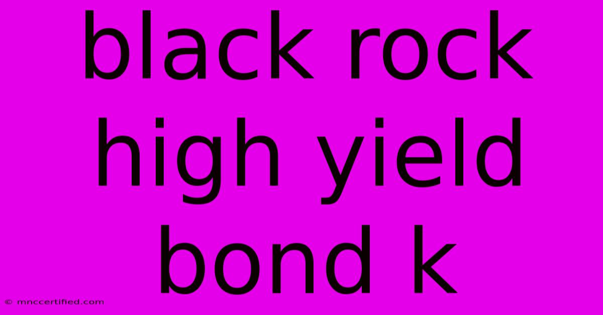 Black Rock High Yield Bond K