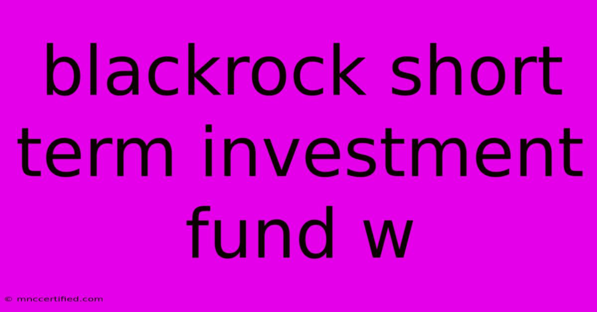 Blackrock Short Term Investment Fund W