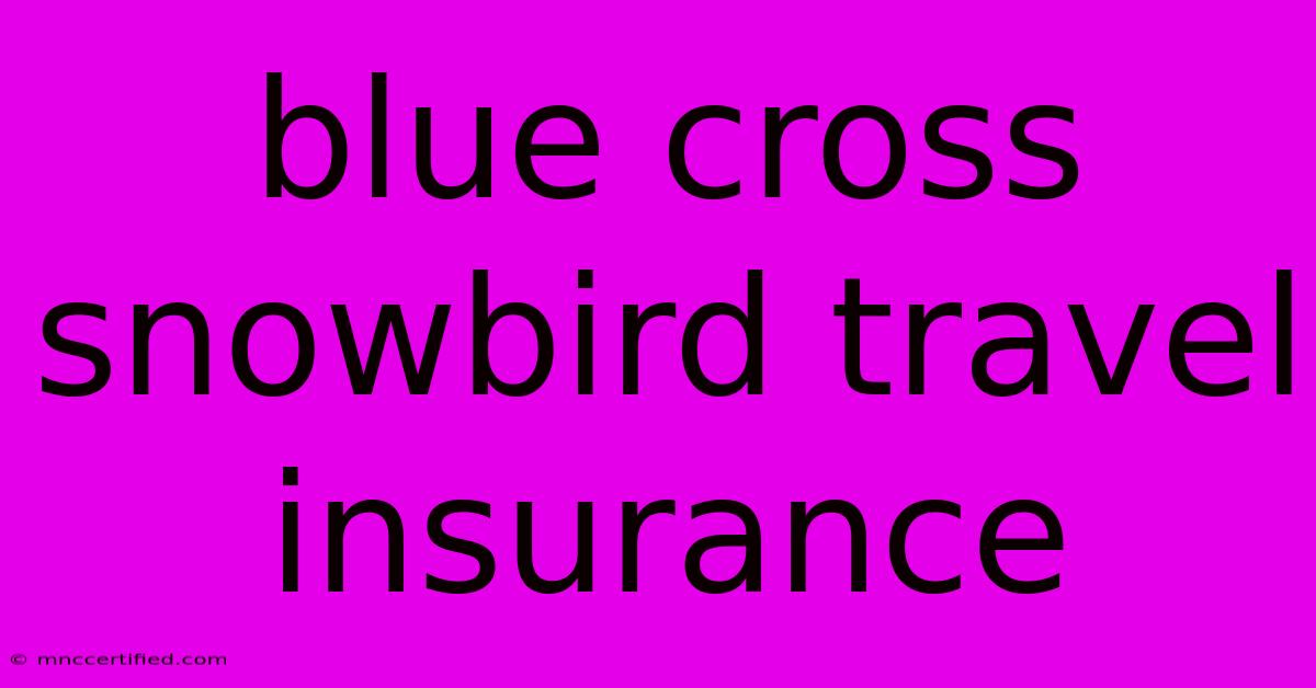 Blue Cross Snowbird Travel Insurance