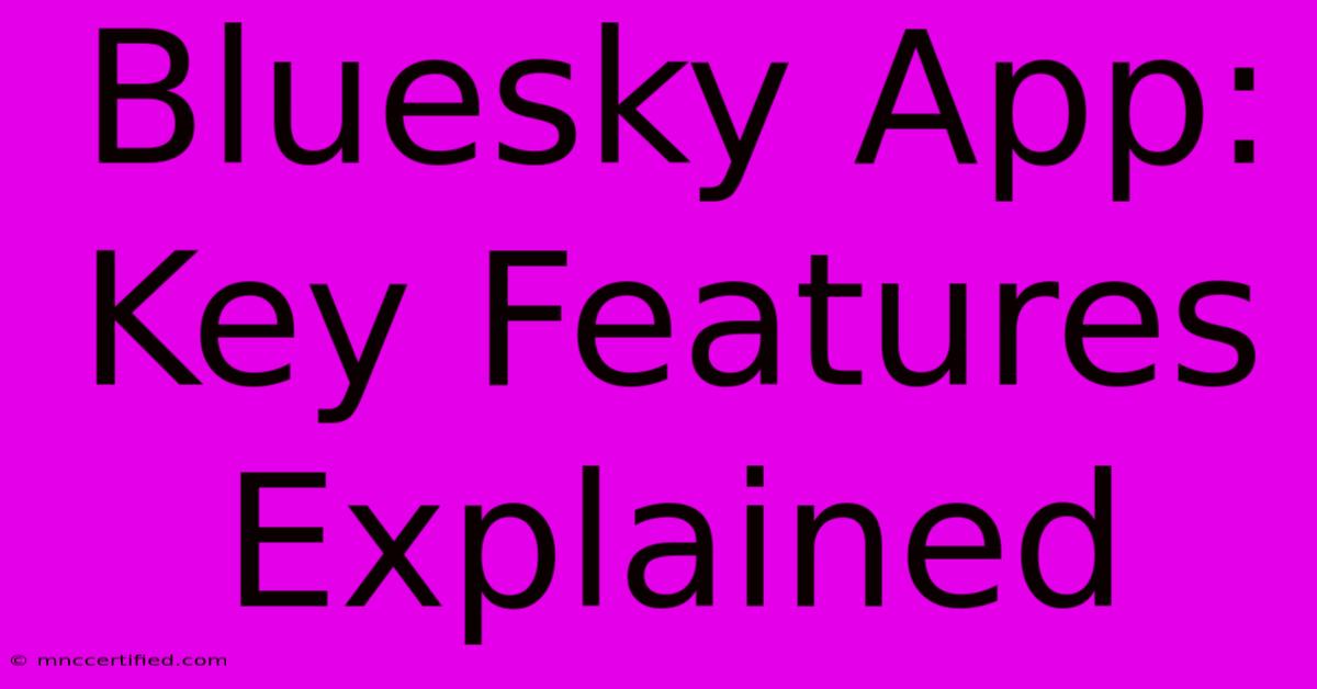 Bluesky App: Key Features Explained