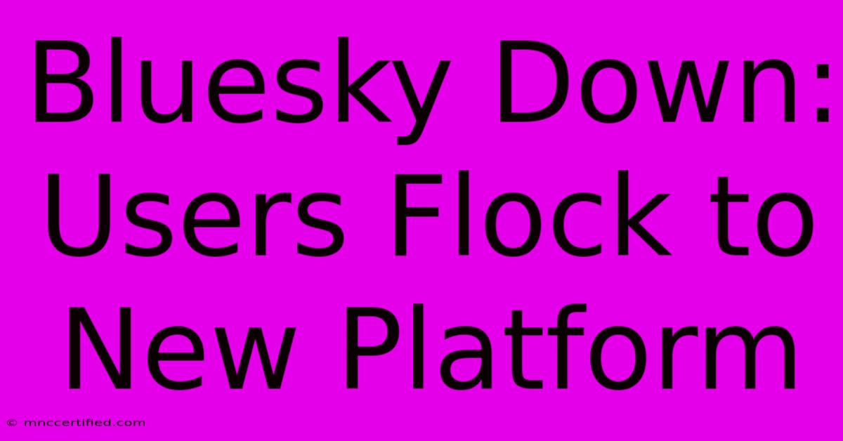 Bluesky Down: Users Flock To New Platform