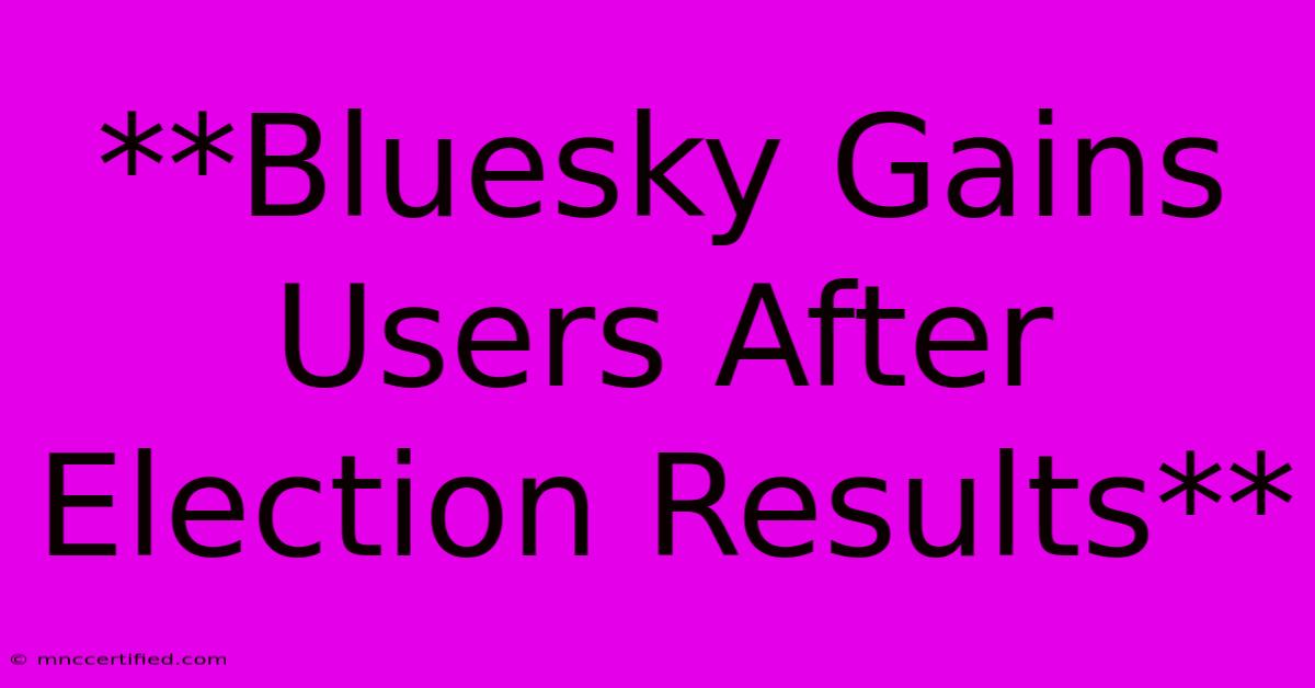 **Bluesky Gains Users After Election Results**