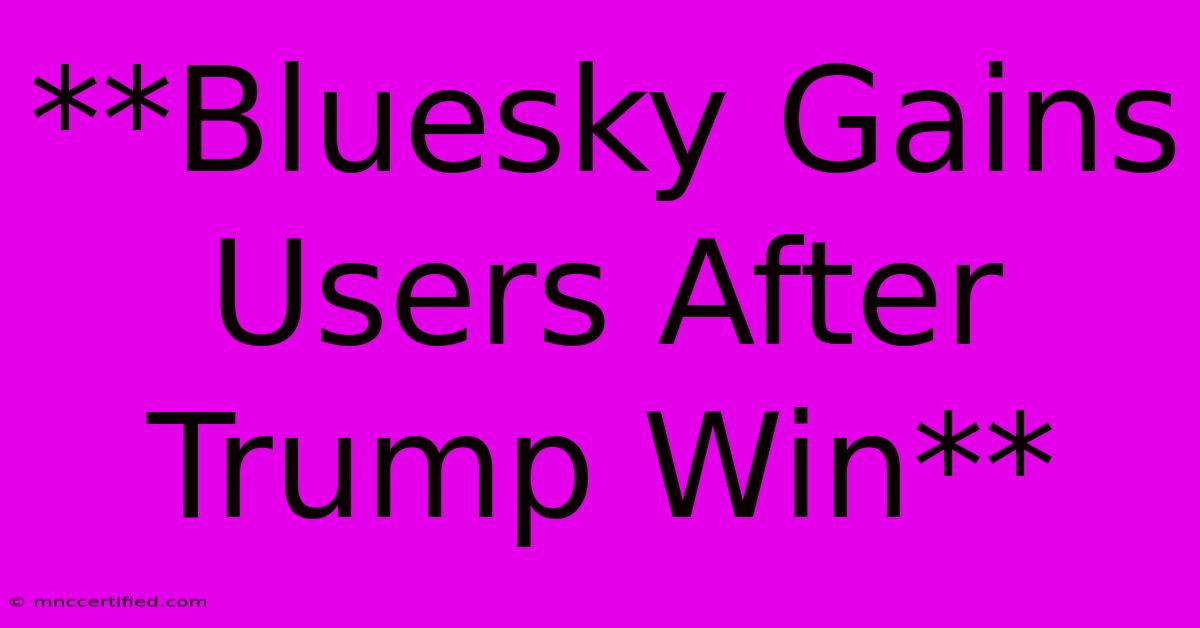 **Bluesky Gains Users After Trump Win** 