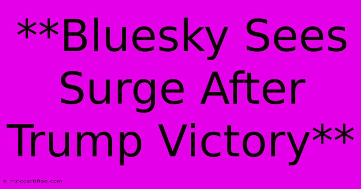 **Bluesky Sees Surge After Trump Victory** 