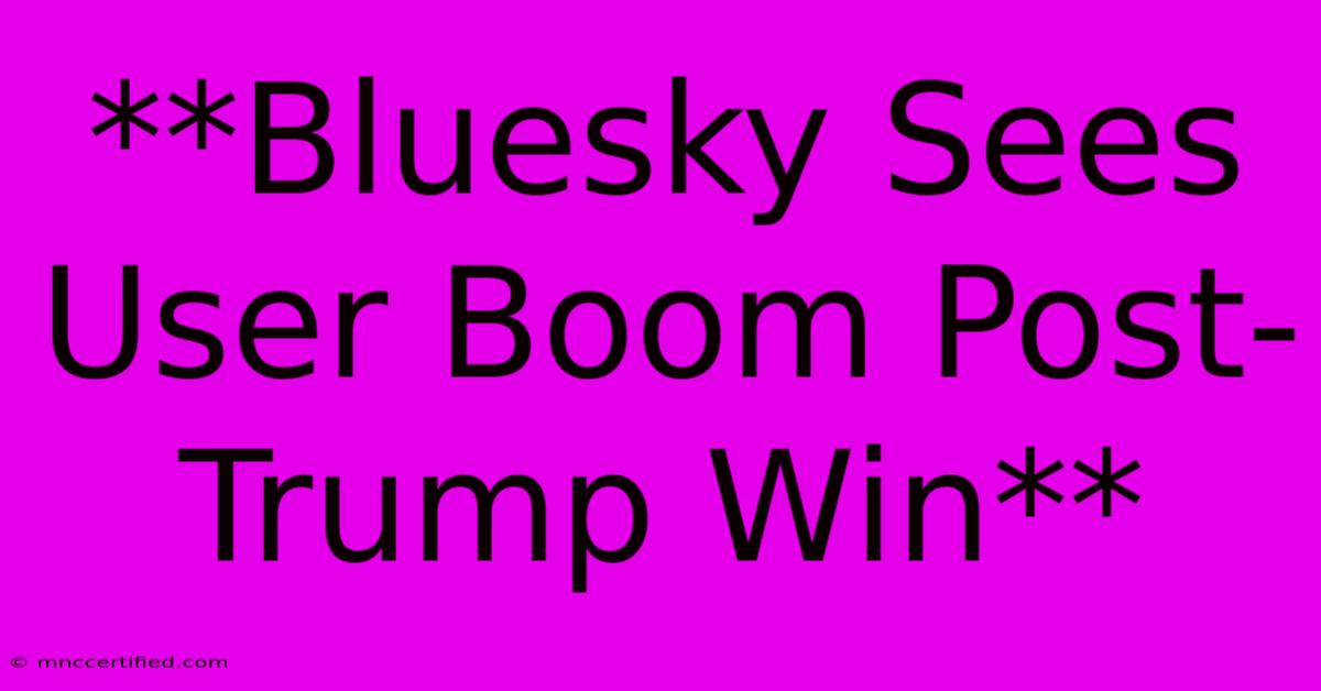 **Bluesky Sees User Boom Post-Trump Win**