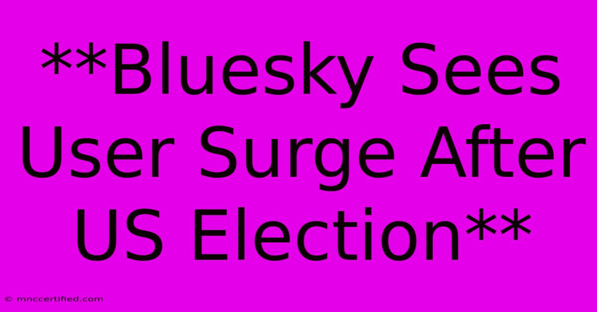 **Bluesky Sees User Surge After US Election** 