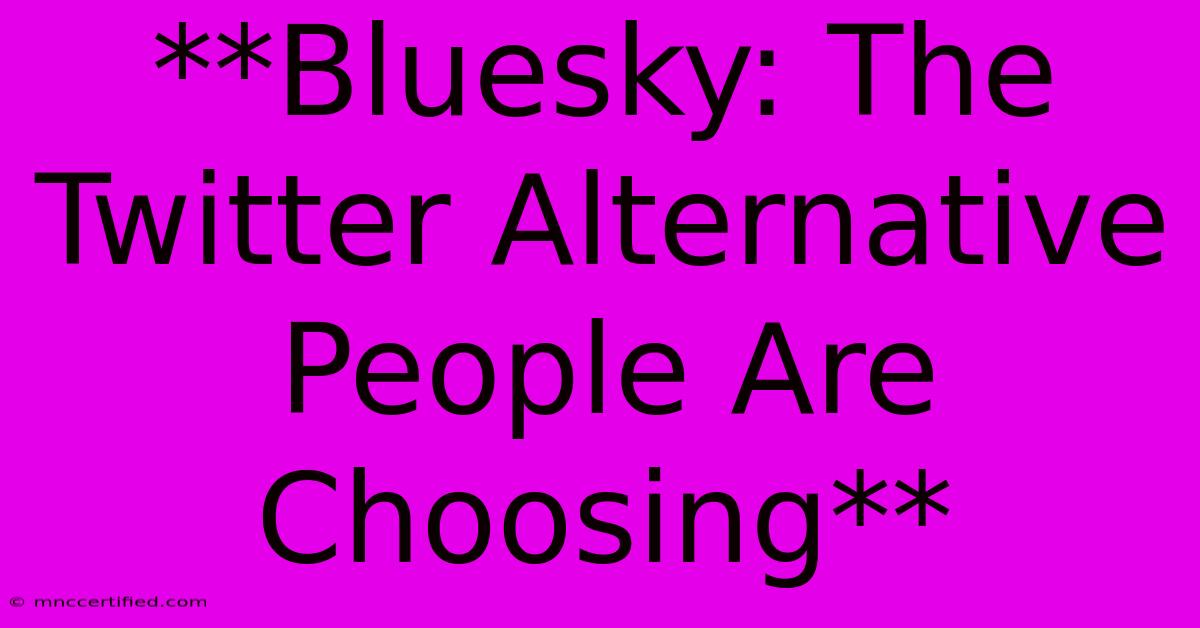 **Bluesky: The Twitter Alternative People Are Choosing** 