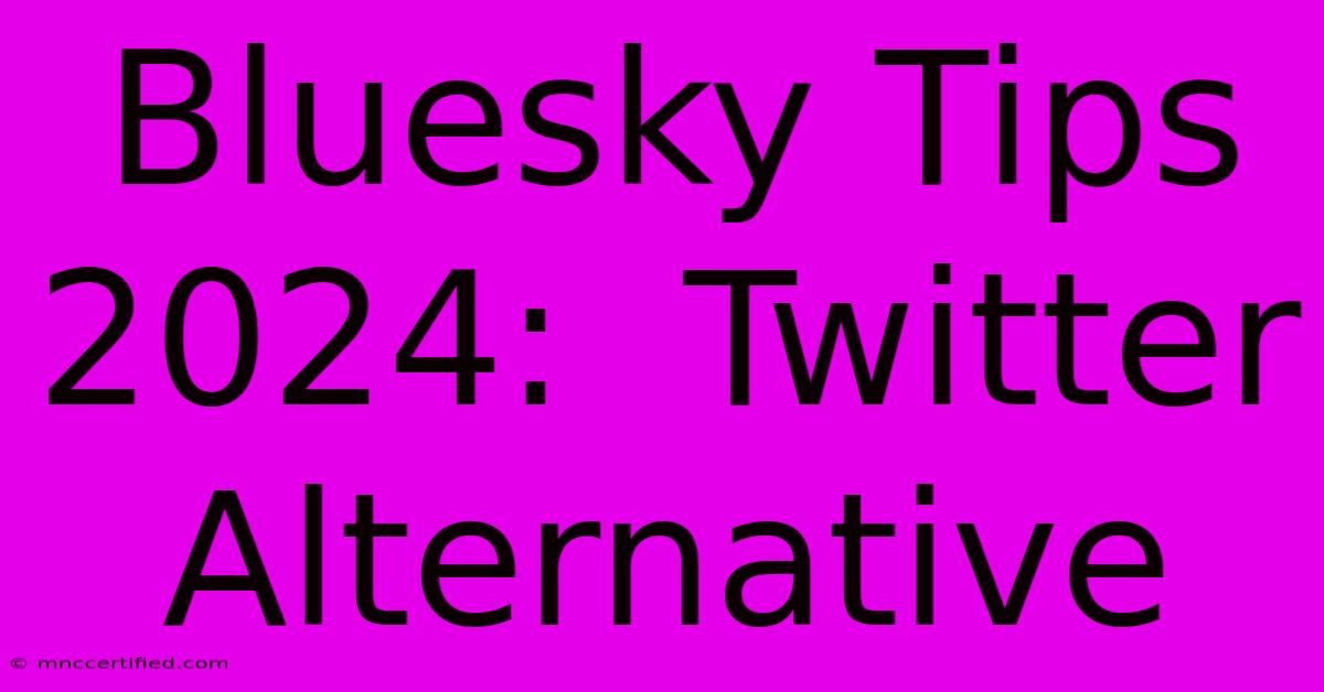 Bluesky Tips 2024:  Twitter Alternative 