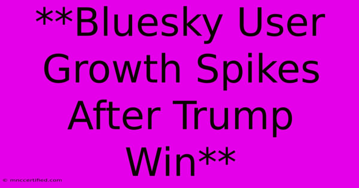 **Bluesky User Growth Spikes After Trump Win**