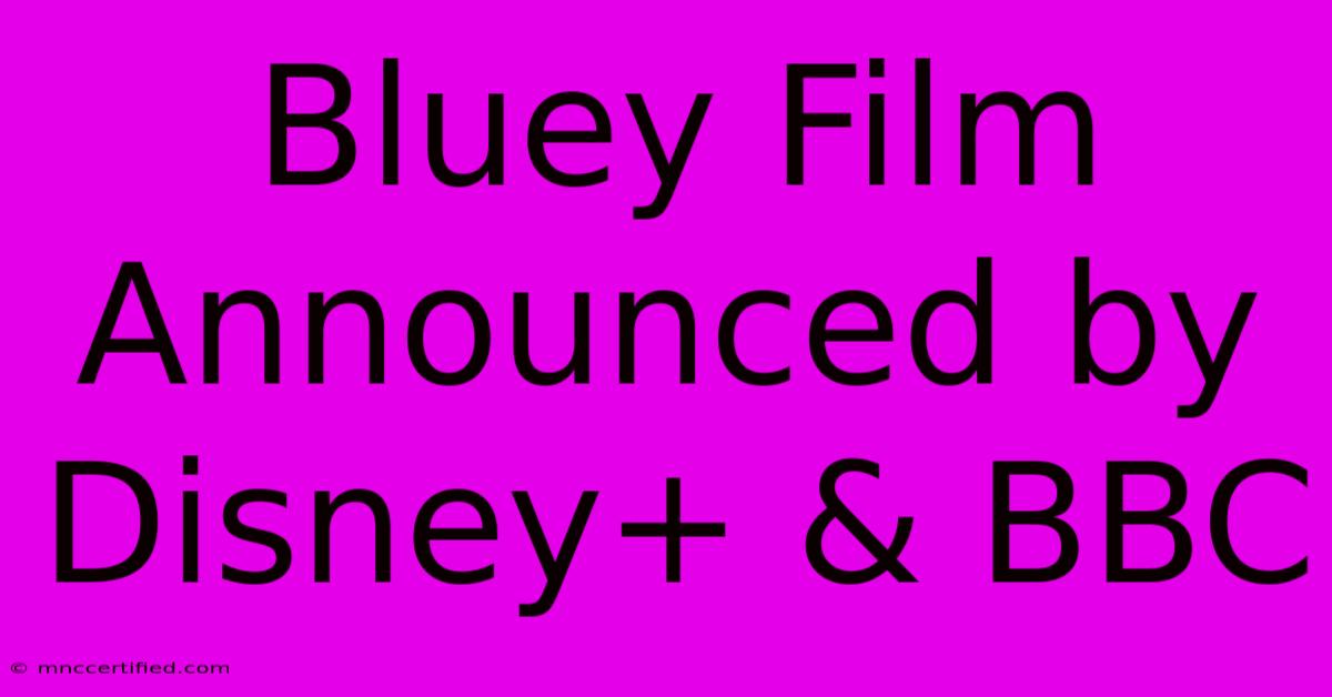 Bluey Film Announced By Disney+ & BBC