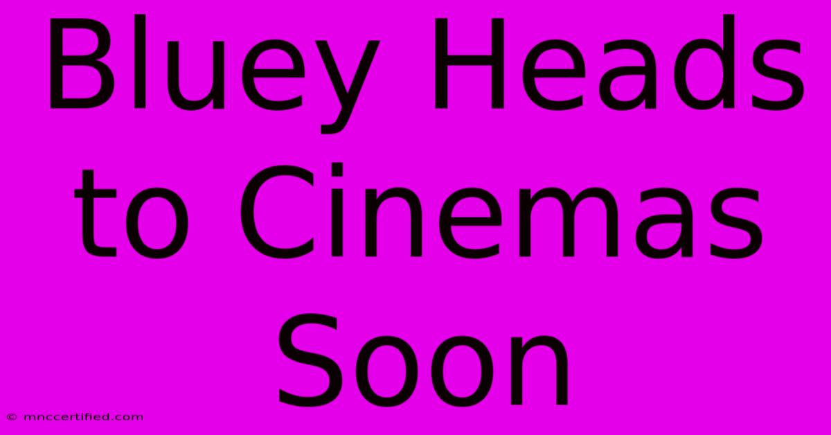 Bluey Heads To Cinemas Soon