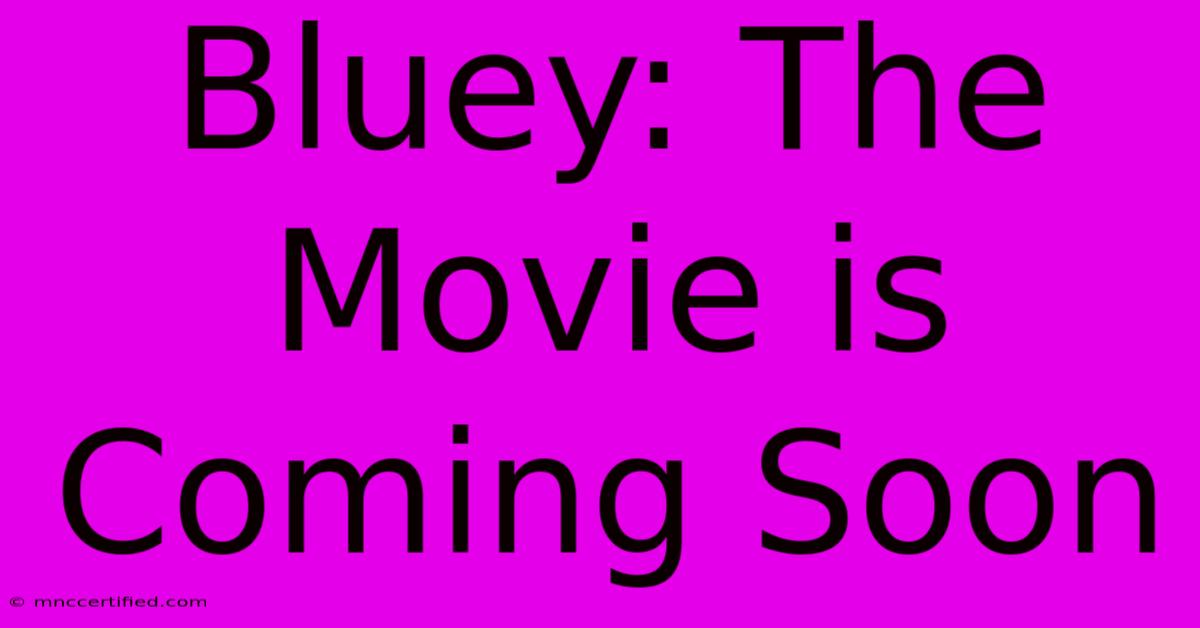 Bluey: The Movie Is Coming Soon