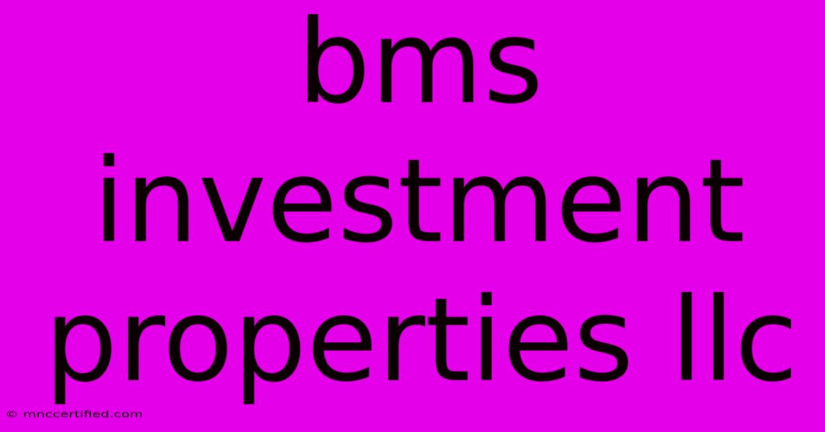 Bms Investment Properties Llc