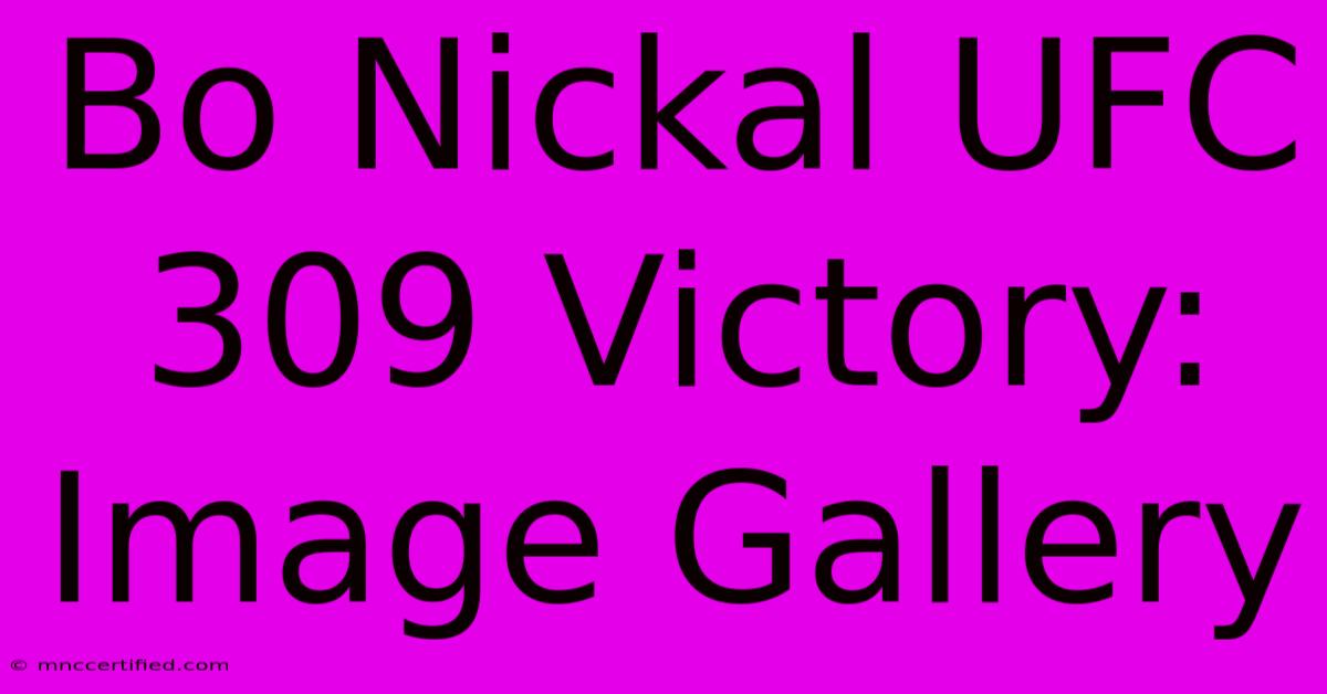 Bo Nickal UFC 309 Victory: Image Gallery