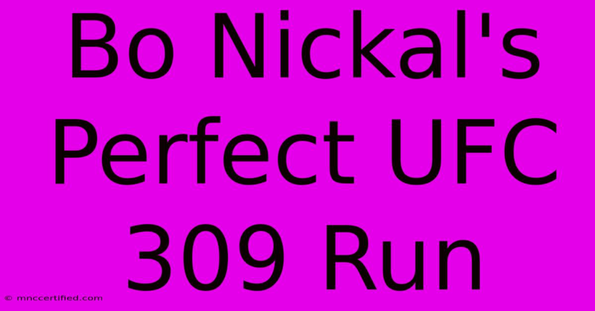 Bo Nickal's Perfect UFC 309 Run