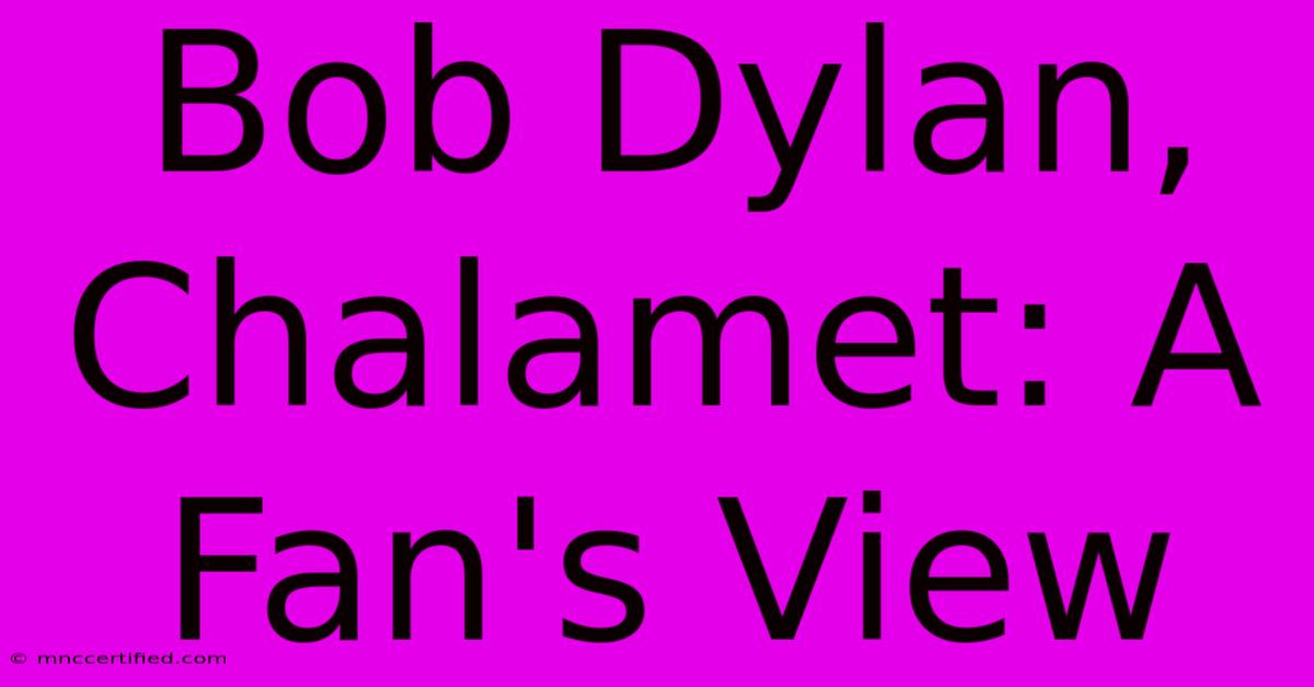 Bob Dylan, Chalamet: A Fan's View