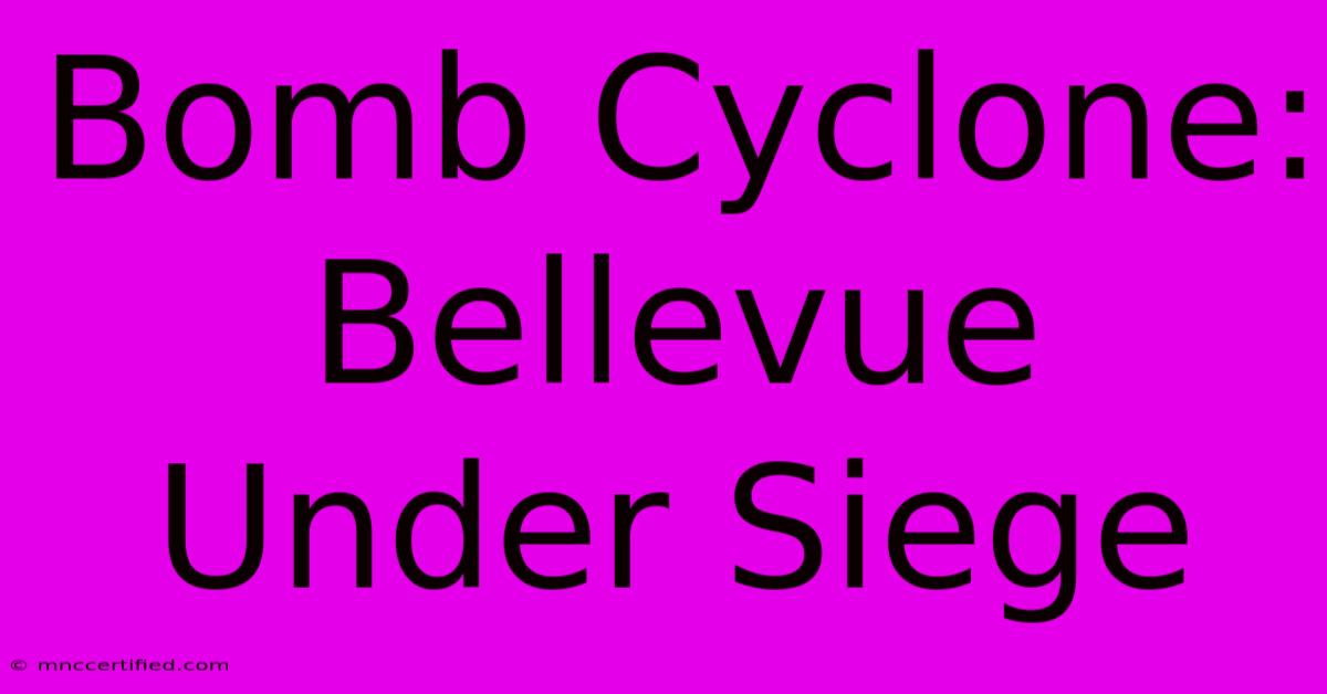 Bomb Cyclone: Bellevue Under Siege