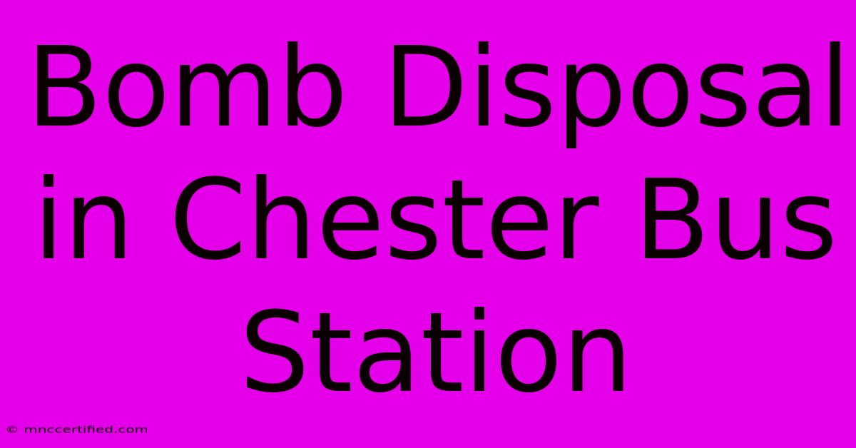 Bomb Disposal In Chester Bus Station