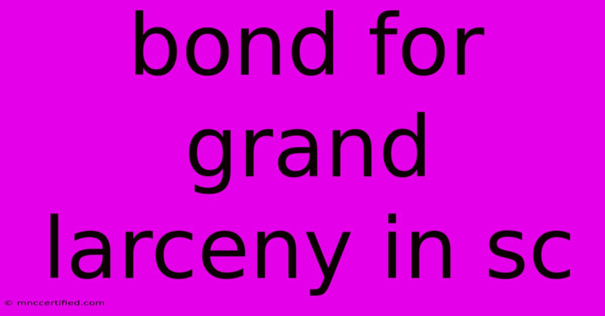 Bond For Grand Larceny In Sc