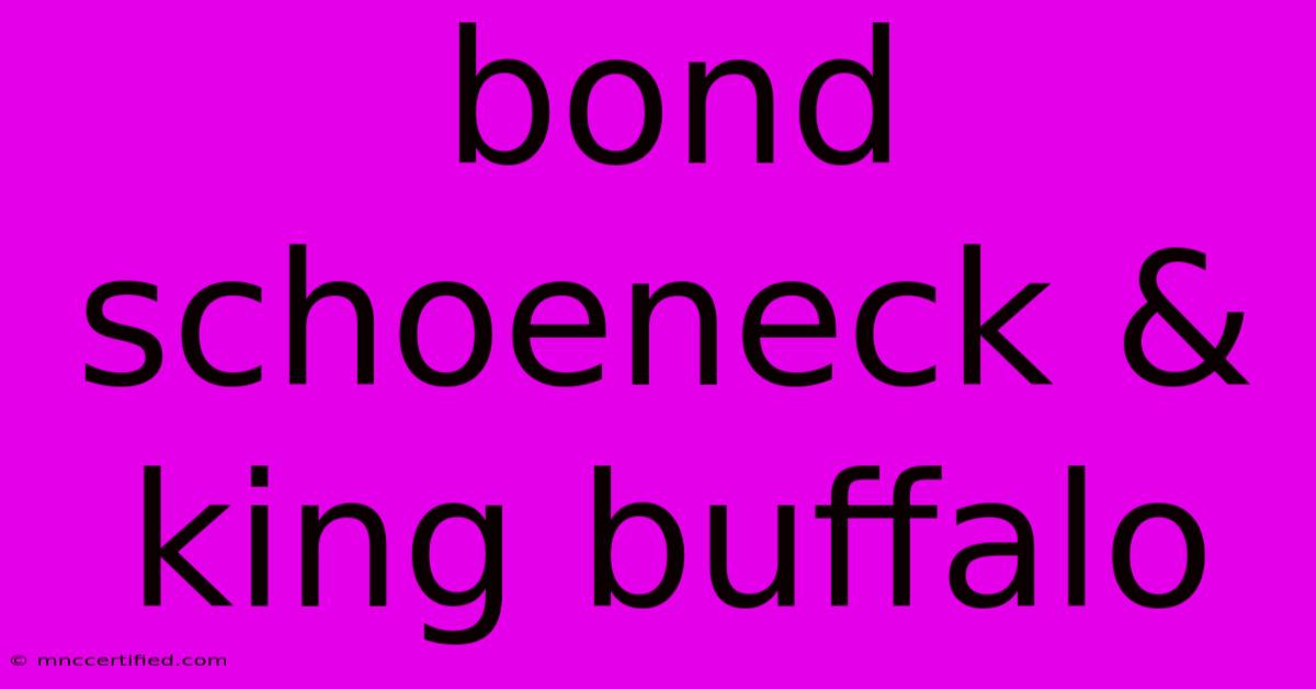 Bond Schoeneck & King Buffalo