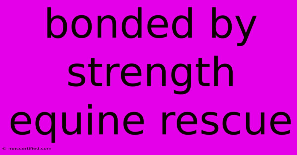 Bonded By Strength Equine Rescue