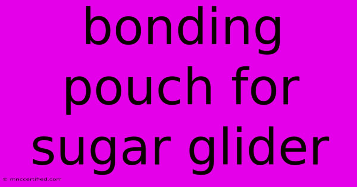 Bonding Pouch For Sugar Glider