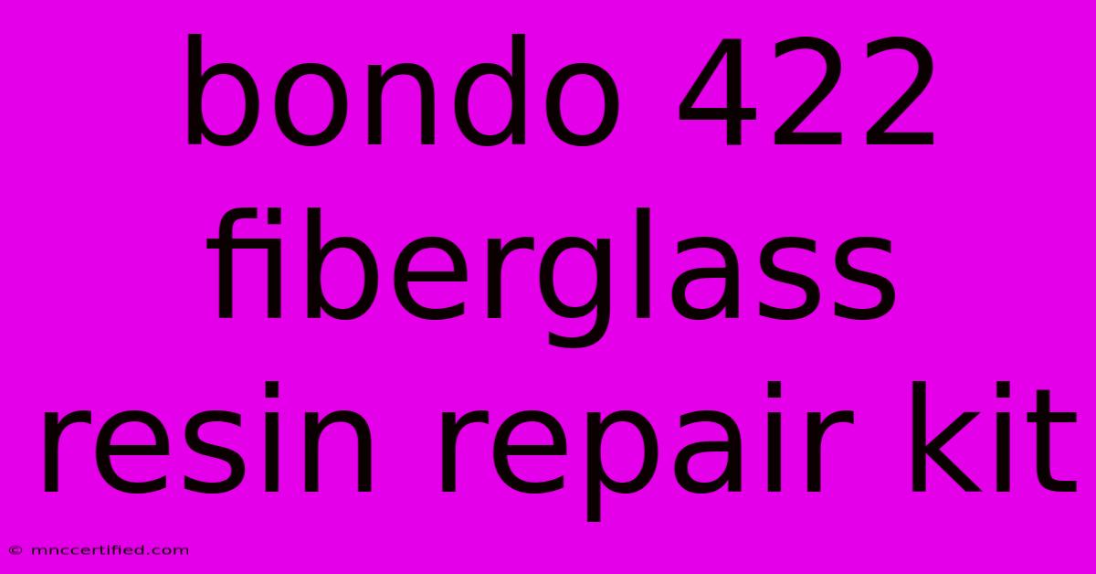 Bondo 422 Fiberglass Resin Repair Kit