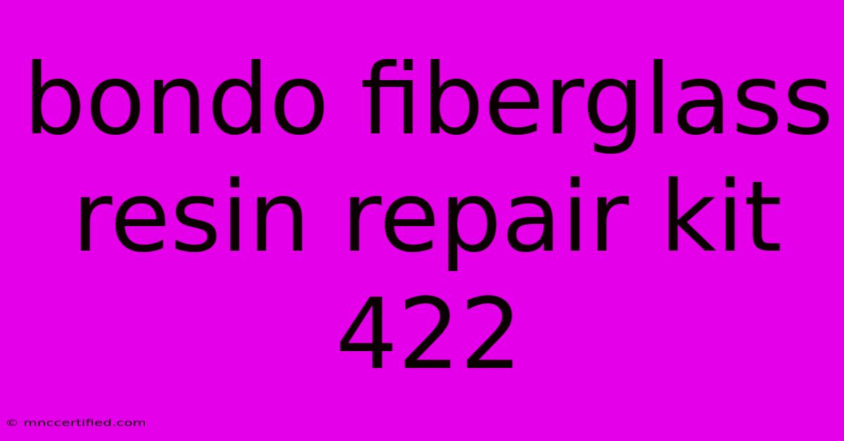 Bondo Fiberglass Resin Repair Kit 422