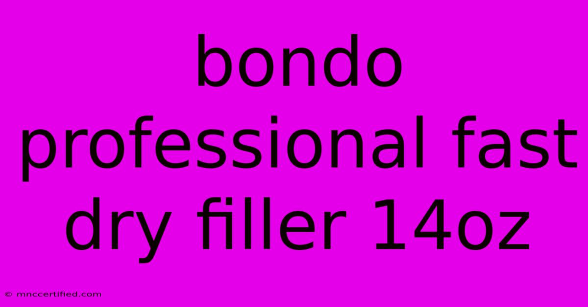 Bondo Professional Fast Dry Filler 14oz