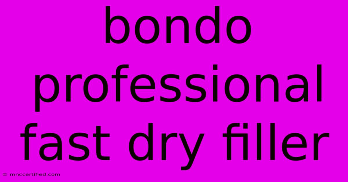 Bondo Professional Fast Dry Filler