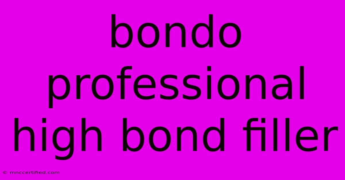 Bondo Professional High Bond Filler