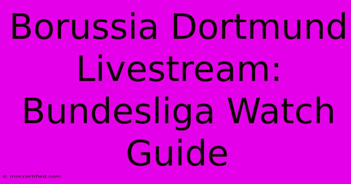 Borussia Dortmund Livestream: Bundesliga Watch Guide