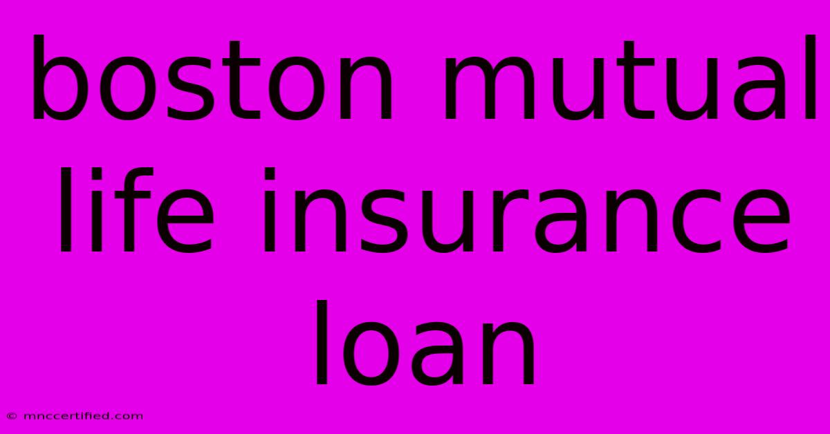 Boston Mutual Life Insurance Loan