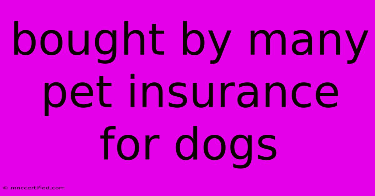 Bought By Many Pet Insurance For Dogs