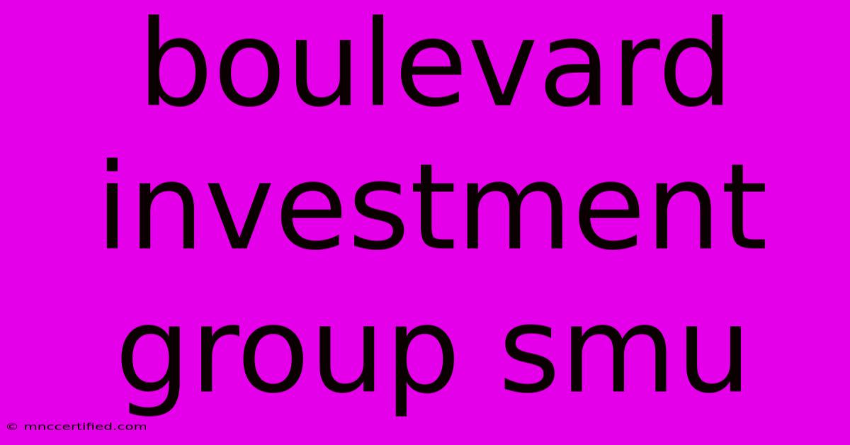 Boulevard Investment Group Smu