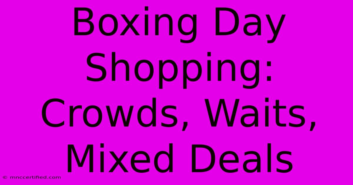 Boxing Day Shopping: Crowds, Waits, Mixed Deals