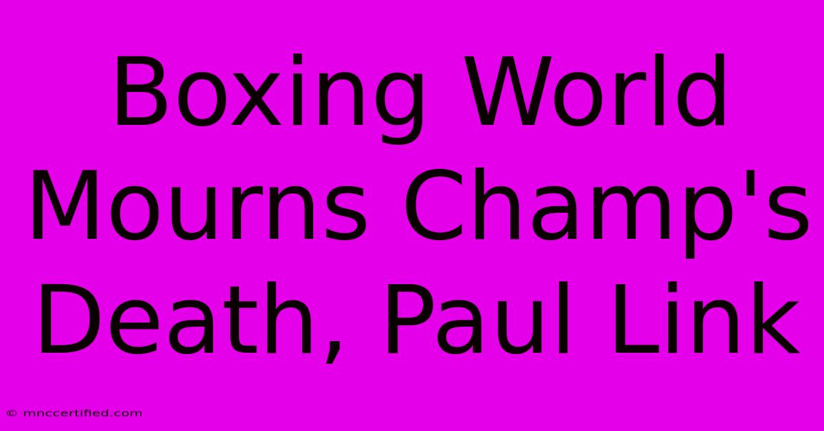 Boxing World Mourns Champ's Death, Paul Link