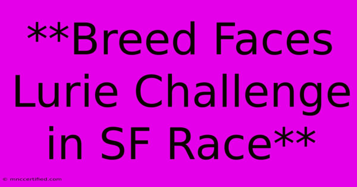 **Breed Faces Lurie Challenge In SF Race** 